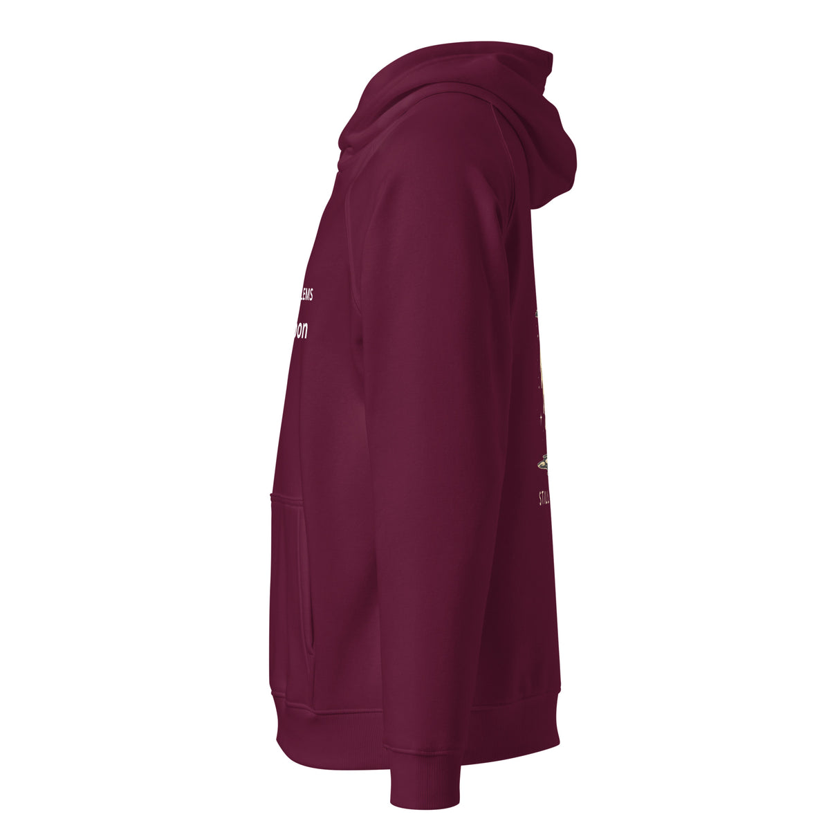 Burgundy Melting Moon eco raglan hoodie, left side view